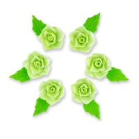Azalia zielona