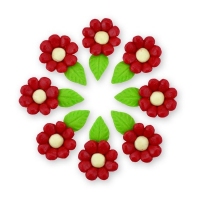 Margaretka 8 szt  bordo