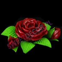 Zestaw R1 bordowy