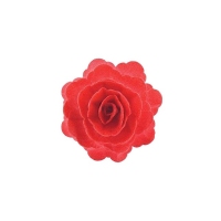 Róża chińska duża czerwona 15 szt.