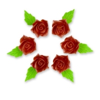 Azalia miedziana 6szt