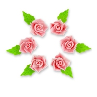 Azalia różowy jasny 6szt