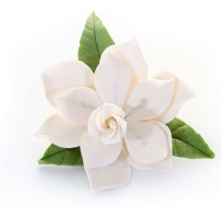 Cukrowy Kwiat - Gardenia Biała z listkami