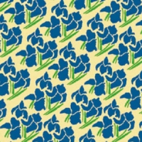 Folia transferowa do czekolady 25x40cm 2TF13113 - FLORENSUC - 1szt