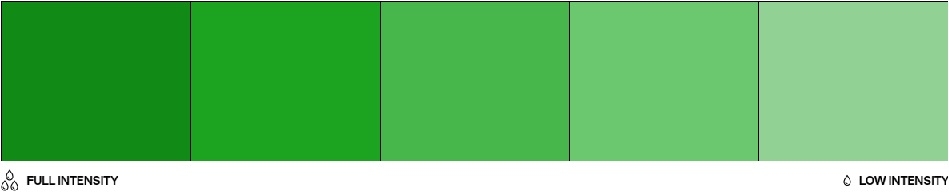 Barwnik olejowy do mas tłustych 20ml - Colour Mill - Green