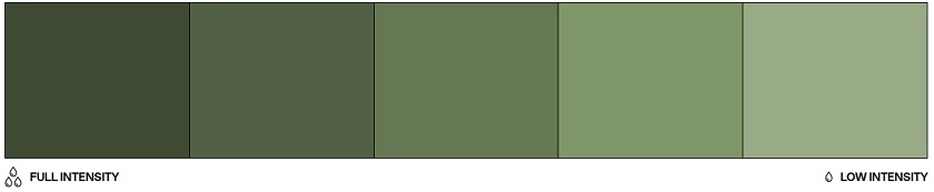 Barwnik olejowy do mas tłustych 20ml - Colour Mill - Olive