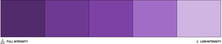 Barwnik olejowy do mas tłustych 20ml - Colour Mill - Purple