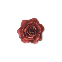 Róża chińska mała perłowy burgund 35 szt.
