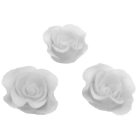 Róża 7-ka biała 16szt
