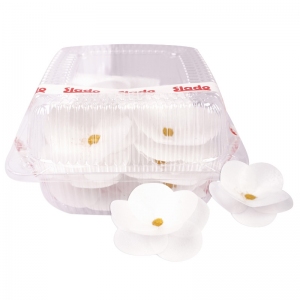 Kamelia biała z opłatka 11szt