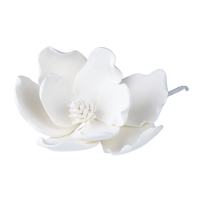 Kwiat z dragantu - magnolia biała