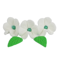 Kwiatuszki cukrowe - Irys biały 7szt