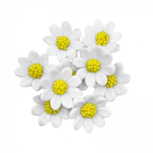 Kwiaty cukrowe - Rumianek biały 9szt