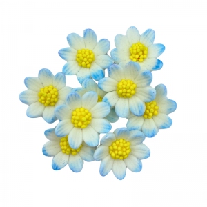 Kwiaty cukrowe - Rumianek błękitno-biały 9szt