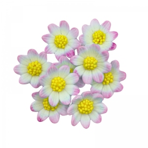 Kwiaty cukrowe - Rumianek różowo-biały 9szt