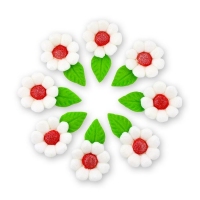 Margaretka 8 szt - Biała