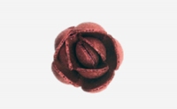 Róża angielska pączek burgundowa 60 szt.