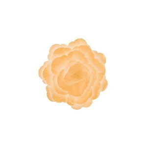 Róża chińska duża perłowy złoty 15 szt.