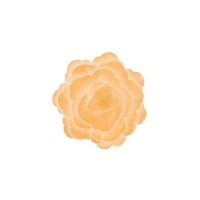 Róża chińska duża perłowy złoty 15 szt.