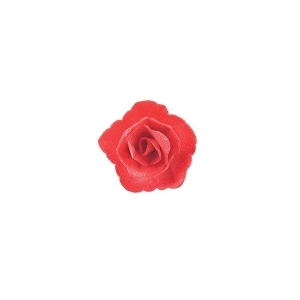 Róża chińska mała czerwona 35 szt.