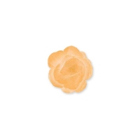 Róża chińska mała perłowy złoty 35 szt.