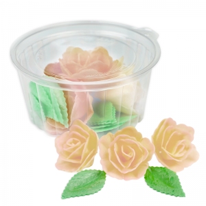 Róża chińska mała - zestaw Ecru