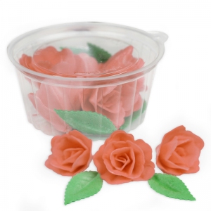 Róża chińska mała - zestaw Łososiowy