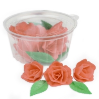 Róża chińska mała - zestaw Łososiowy