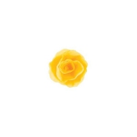 Róża chińska mała żółta 35 szt.