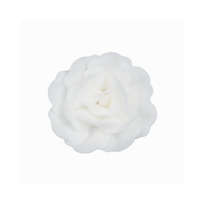 Róża chińska średnia biała 18 szt.