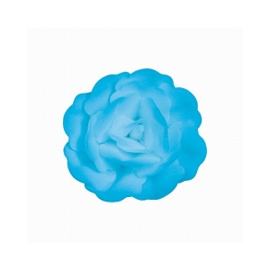 Róża chińska średnia niebieska 18 szt.