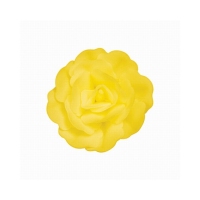 Róża chińska średnia żółta 18 szt.