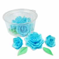 Róża chińska zestaw niebieski
