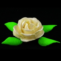 Róża M1 ecru