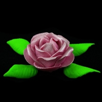 Róża M1 fioletowa