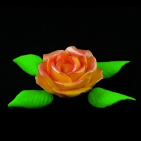Róża M1 herbaciana