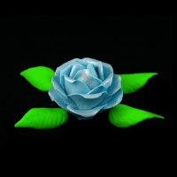 Róża M1 niebieska