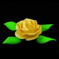 Róża M1 żółty ciemny