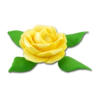 Róża M1 żółty jasny