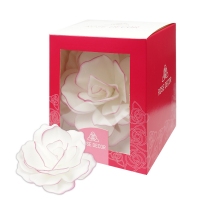 Róża "Pastella" - Finezja różowa
