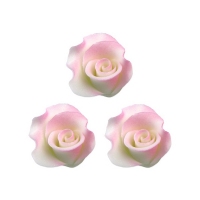 Róża średnia biała cieniowana 20szt