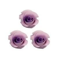 Róża średnia fioletowa 20szt