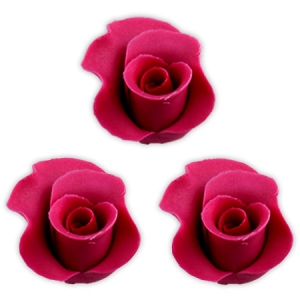 Róża średnia fuksja 20szt