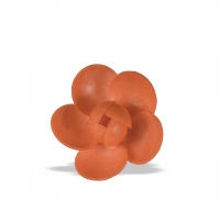 Róża średnia z opłatka - pomarańczowa 20 szt