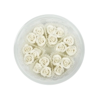 Róże mikro 18szt białe