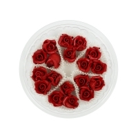 Róże mikro 18szt bordo