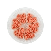 Róże mikro 18szt łososiowe jasne