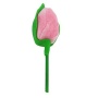 Tulipan