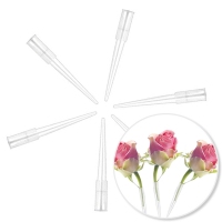 Wspornik do żywych kwiatów (uchwyt na kwiaty) - transparentne 6szt