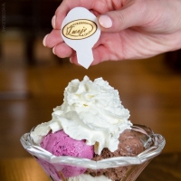 Wtykacze - Logo jadalne do lodów i deserów - 27 szt